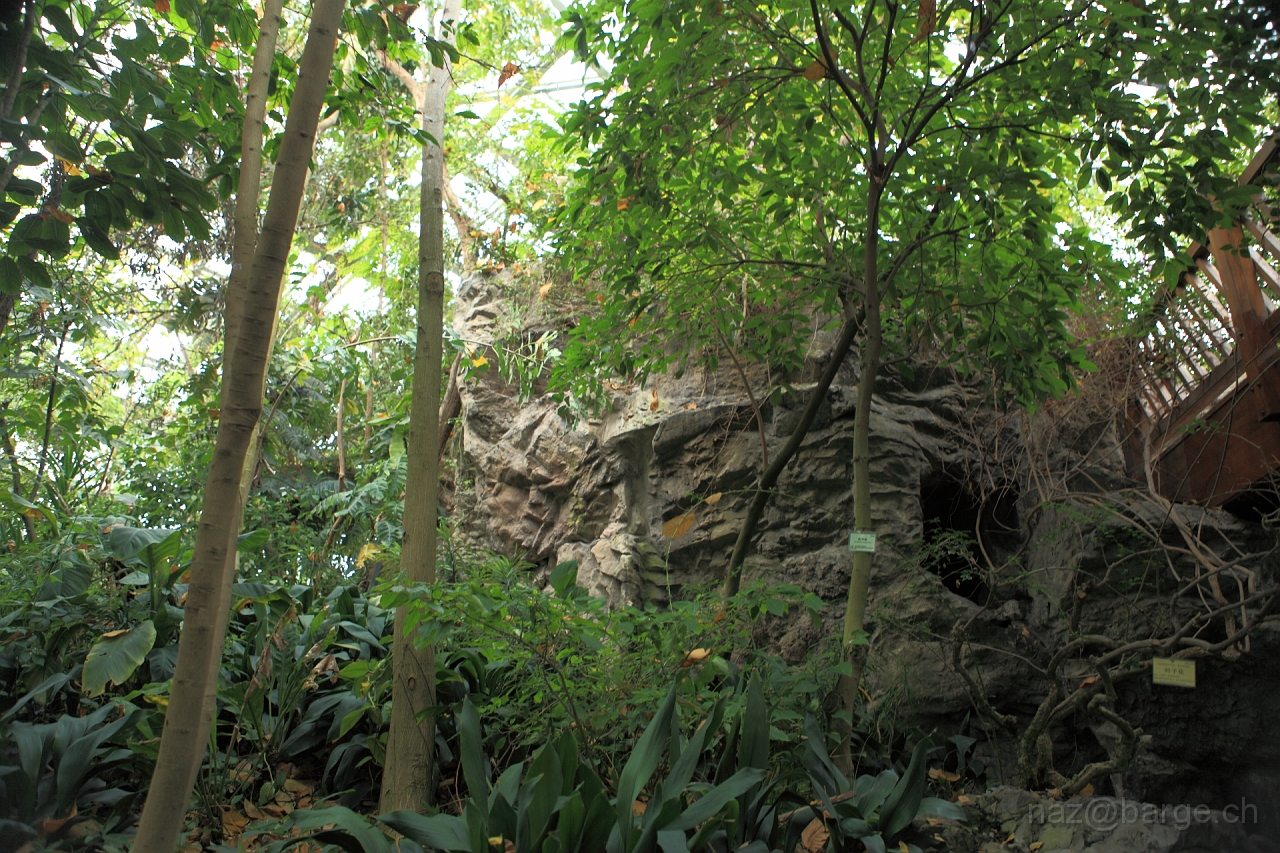 EOS 5D Mark II16_04_20134986.JPG